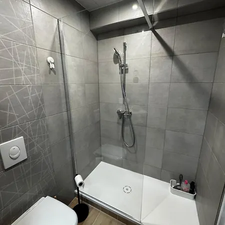 Апартаменты Le Pfeffel A Кольмар